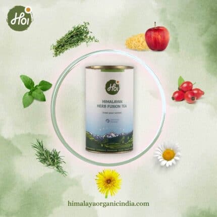 Himalayan Herb Fusion Organic Tea | Himalaya Organic India